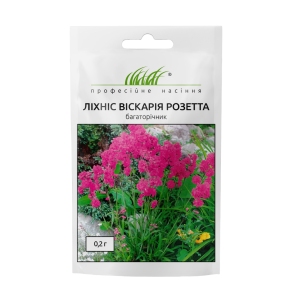 Ліхніс віскарія Розетта - Зображення 3
