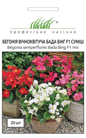 Бегонія Бада Бінг F1 - Зображення 2