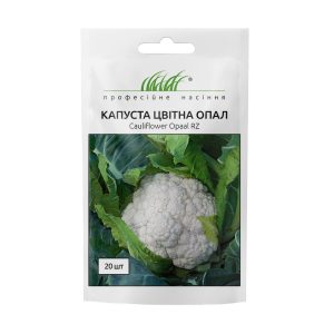 Цвітна капуста Опал - Зображення 2