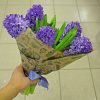 Гіацинт Delft Blue - Зображення 4