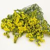 Статиця КІС (Фасовка: 1000 шт; Колір: yellow)