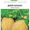 Диня Ананас - Зображення 8
