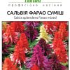Сальвія Фарао (Фасовка: 0,1 г; Колір: суміш) - Зображення 2