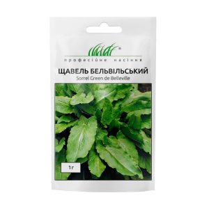 Щавель Бельвільський - Зображення 4