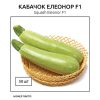 Кабачок Елеонор F1 - Зображення 3