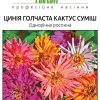 Цинія (Майори) Кактус (Фасовка: 0,5 г; Колір: суміш) - Зображення 2