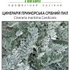 Цинерарія Срібний пил (Фасовка: 0,1 г; Колір: срібний) - Зображення 2