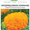 Чорнобривці Еквінокс - Зображення 2