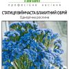 Статица Блакитний обрій - Зображення 2