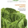 Салат Квінтус - Зображення 3
