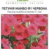Петунія Мамбо F1 - Зображення 7