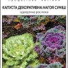Капуста декоративна Нагоя - Зображення 2