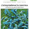 Статица Синя ріка - Зображення 4