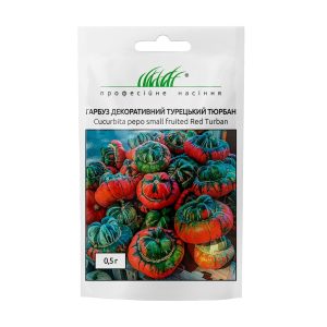 Гарбуз декоративний Турецький Тюрбан - Зображення 2