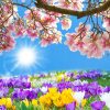 Крокус Remembrance (Фасування: 5 шт) - Зображення 4