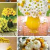 Краспедія Кульовидна (Фасовка: 1000 шт; Колір: жовтий) - Зображення 5