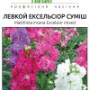 Матіола Ексельсіор - Зображення 2