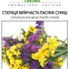 Статица Пасіфік - Зображення 2