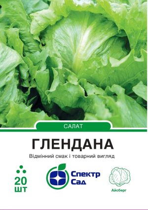 Салат айсберг Глендана, 20 шт