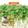 Мікрозелень руколи - Зображення 2