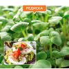 Мікрозелень редиски - Зображення 2