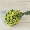 Статиця КІС (Фасовка: 1000 шт; Колір: yellow) - Зображення 2