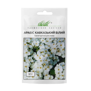 Арабіс кавказький білий - Зображення 5