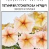 Петунія мультифлора Інгрід F1 - Зображення 4