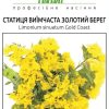 Статица Золотий берег - Зображення 4