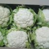 Цвітна капуста Снігова Куля (Фасовка: 0,5 г) - Зображення 4