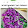Статица Пурпуровий атракціон - Зображення 2
