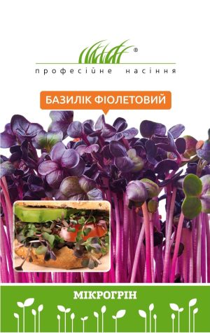 Мікрозелень базиліку фіолетового - Зображення 2