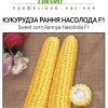 Кукурудза Рання Насолода F1 - Зображення 3