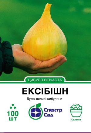 Цибуля ріпчаста Ексібішн, 100 шт