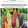 Люпин Фестиваль (Фасовка: 0,4 г; Колір: суміш) - Зображення 2