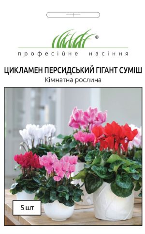 Цикламен Гігант (Фасовка: 5 шт; Колір: суміш) - Зображення 2