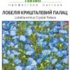 Лобелія Кришталевий палац (Фасовка: 0,05 г; Колір: блакитний) - Зображення 2