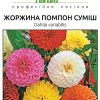 Жоржини Помпон (Фасовка: 0,1 г; Колір: суміш) - Зображення 2