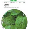 Гірчиця - Зображення 2