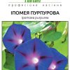 Іпомея Пурпурова (Фасовка: 1 г; Колір: пурпурний) - Зображення 2