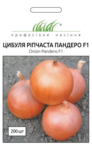 Цибуля Пандеро F1 (Фасовка: 100 000 шт) - Зображення 3