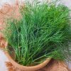 Кріп Кущовий