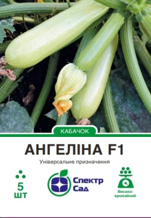 Кабачок Ангеліна F1, 5 шт