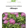 Конюшина декоративна Мільвус