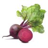Буряк столовий Червона куля
