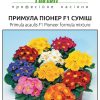 Примула Піонер F1 - Зображення 5