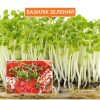 Мікрозелень базиліку зеленого - Зображення 2