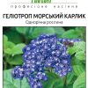 Геліотроп Морський карлик (Фасовка: 0,05 г; Колір: темно-синій) - Зображення 3