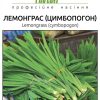 Лемонграс (цимбопогон) (Фасовка: 0,05 г) - Зображення 2