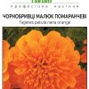 Чорнобривці Малюк - Зображення 3